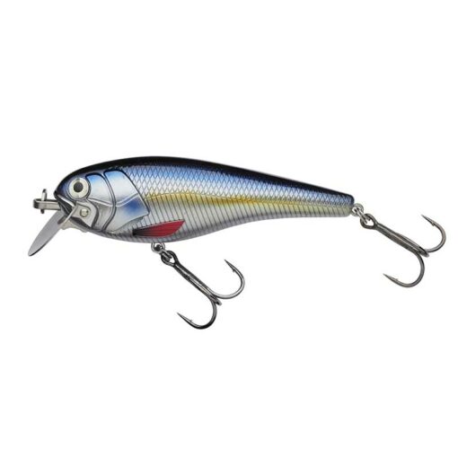 blue-herring