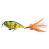 Hot Perch