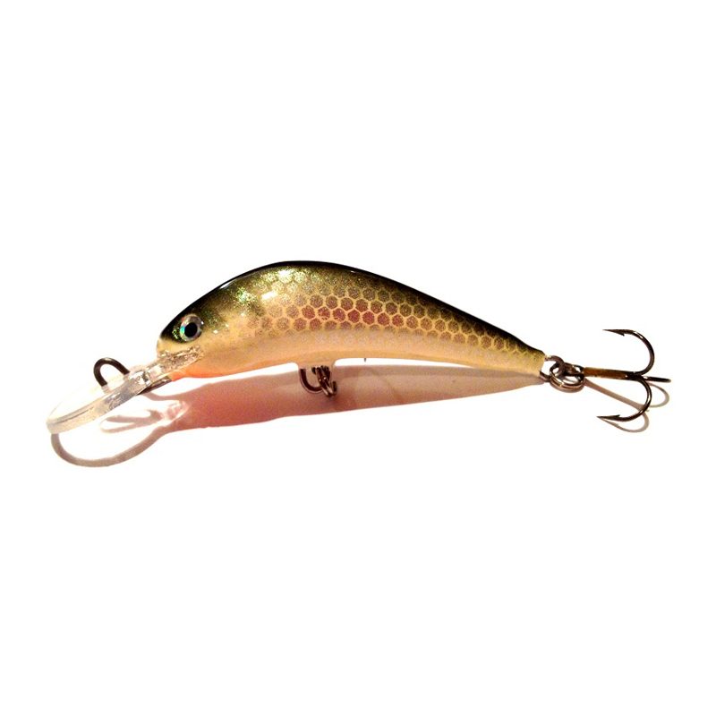 Fiska.nu – Fiskebutik