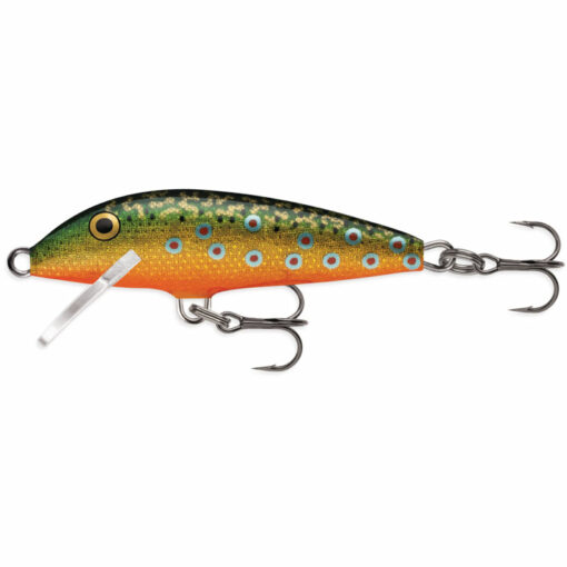 brown-trout