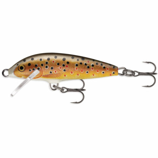 trout