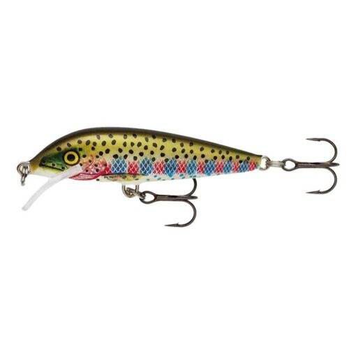 rainbow-trout