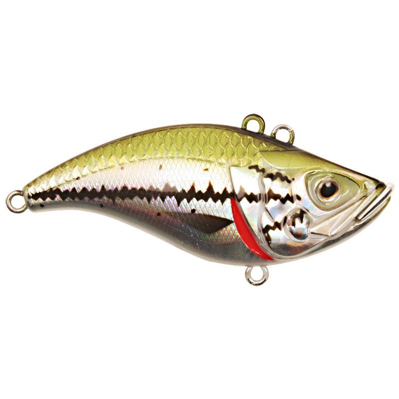 Fiska.nu – Fiskebutik