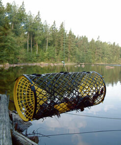 Trappy Kräftmjärde original