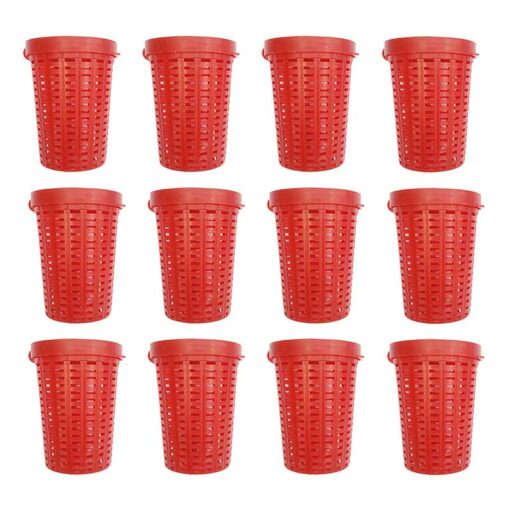 Betesbox Wiggler 12-pack