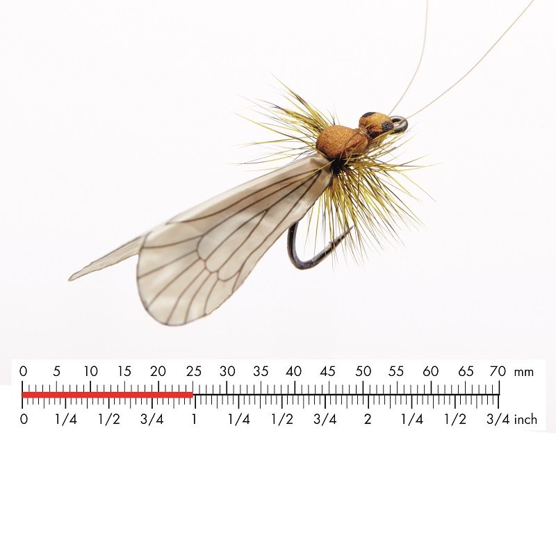 Fiska.nu – Fiskebutik
