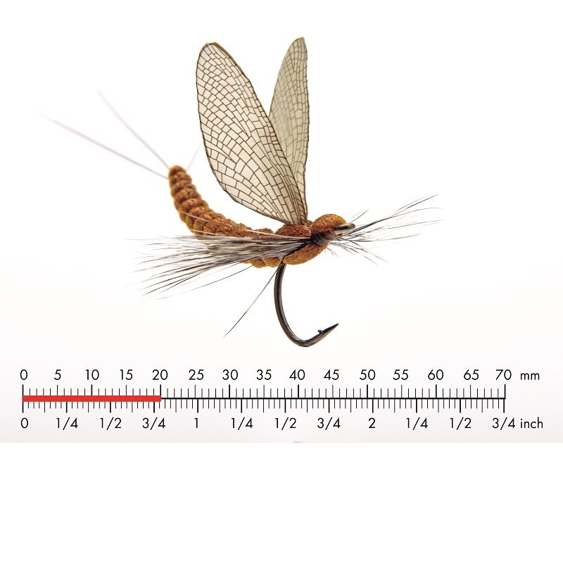Fiska.nu – Fiskebutik