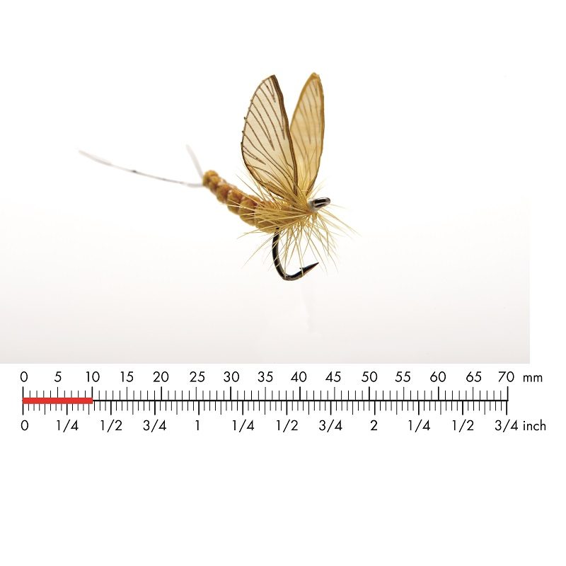 Fiska.nu – Fiskebutik