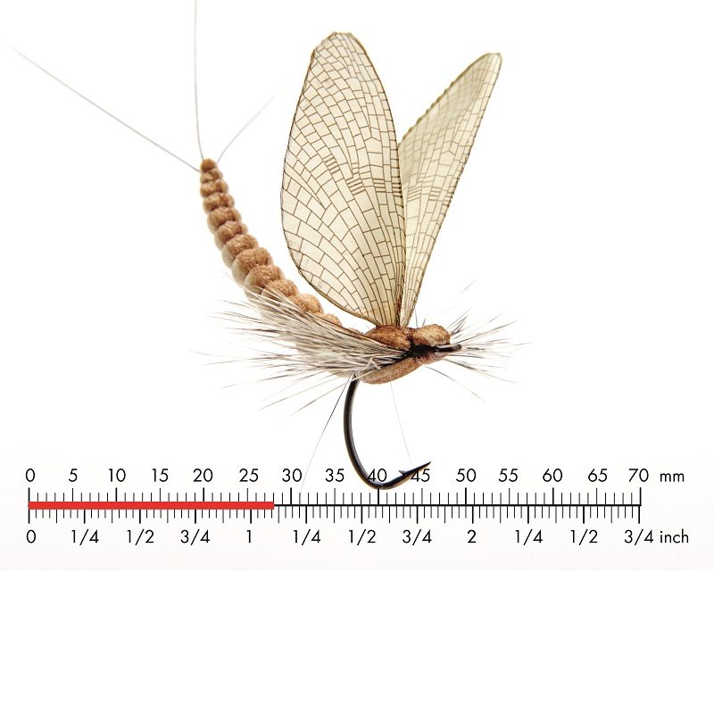 Fiska.nu – Fiskebutik