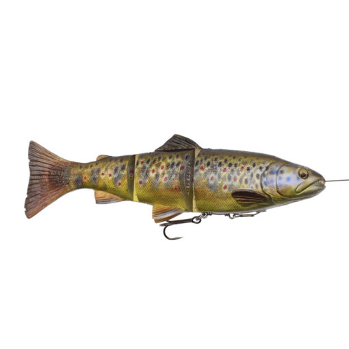 brown-trout