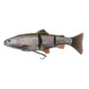 Rainbow Trout