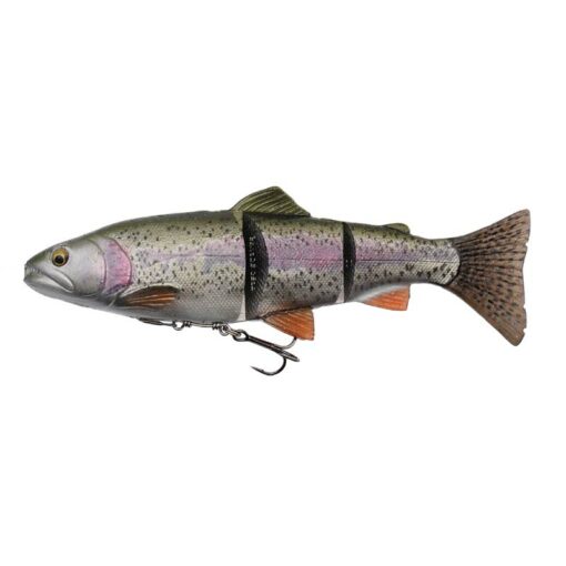 rainbow-trout