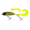 Peacock Bass
