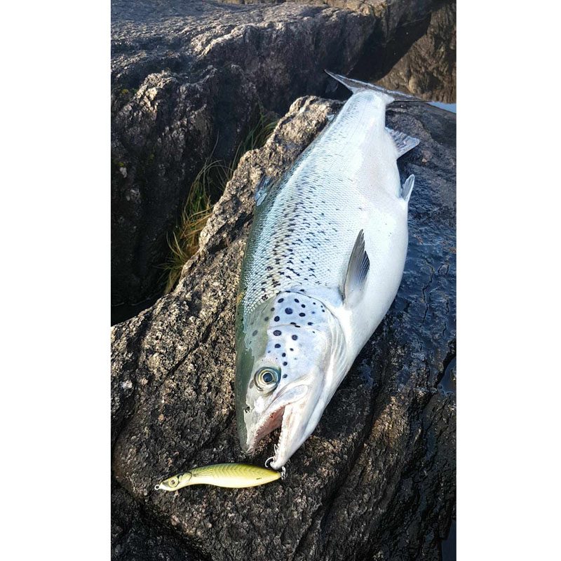 Fiska.nu – Fiskebutik