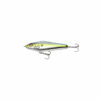 Bluegill Shiner