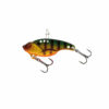 Gold Perch