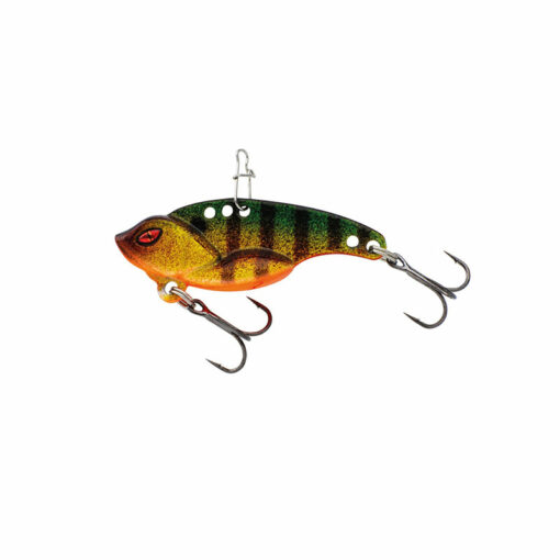 gold-perch