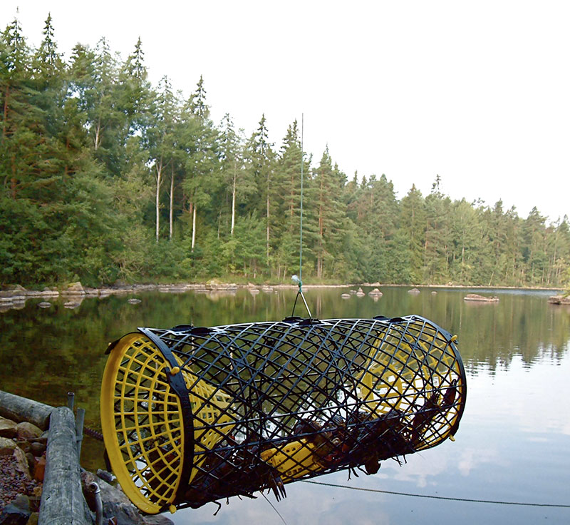 Fiska.nu – Fiskebutik