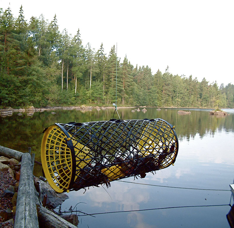Fiska.nu – Fiskebutik