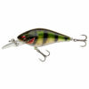 Live Perch