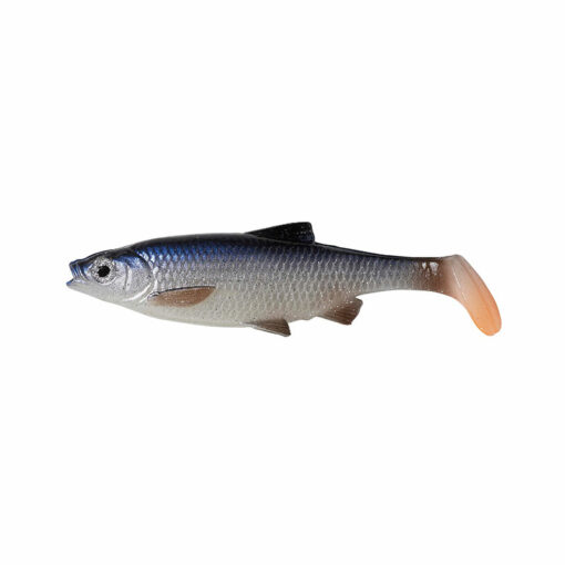 roach