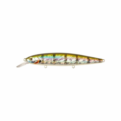 blue-gill