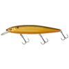 Golden Shiner