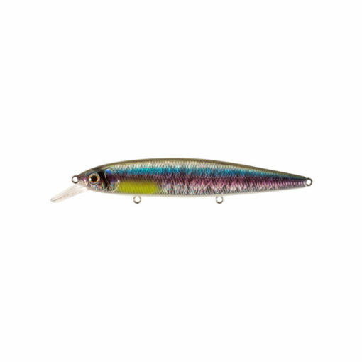 rainbow-shad