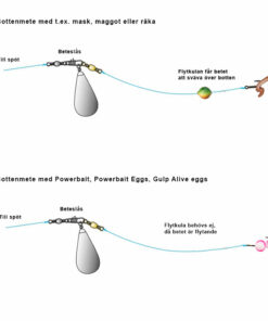 Bottenmete Regnbåge