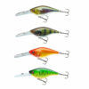 Gold Perch