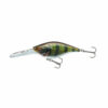 Live Perch