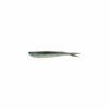 Smelt