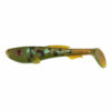 Eelpout