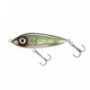 Baltic Herring