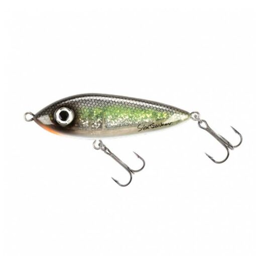 baltic-herring