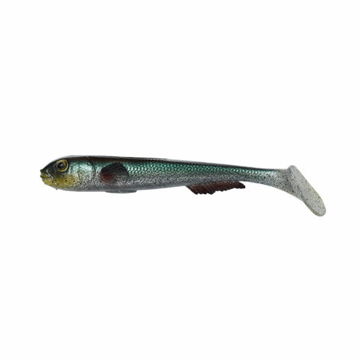 green-silver-goby