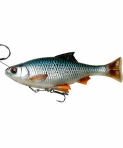 Pulse Tail Roach