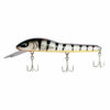 Tiger Black Lemon