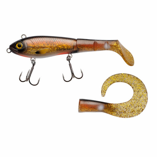 crucian-carp