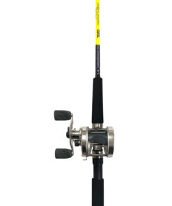 ABU Ambassadeur Ismeteset