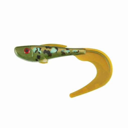 eel-pout