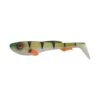 Redfin Perch