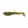 Eel Pout