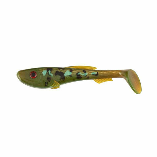eel-pout