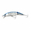Blue Mackerel