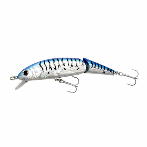 blue-mackerel
