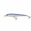 Blue Roach