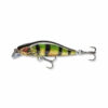 Live Perch