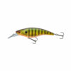 Gold Perch