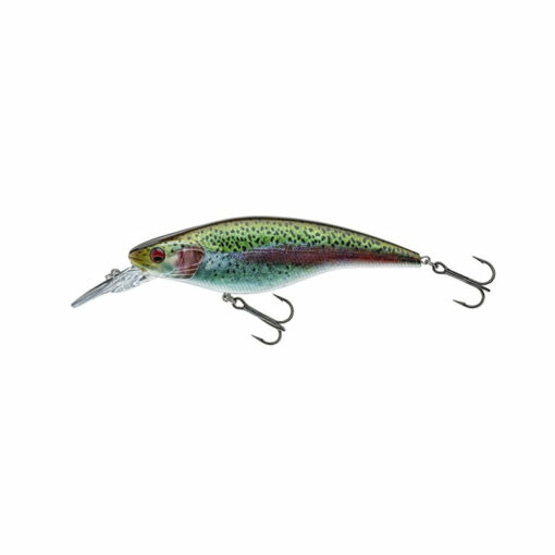 live-rainbowtrout